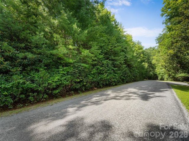 Lot 161 Eagle Lake Drive, Brevard, NC 28712