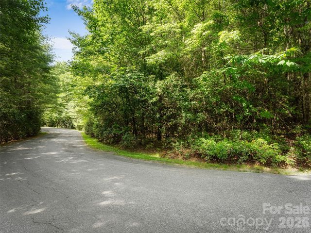 Lot 161 Eagle Lake Drive, Brevard, NC 28712