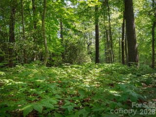 Lot 161 Eagle Lake Drive, Brevard, NC 28712