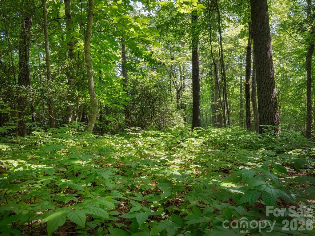 Lot 161 Eagle Lake Drive, Brevard, NC 28712