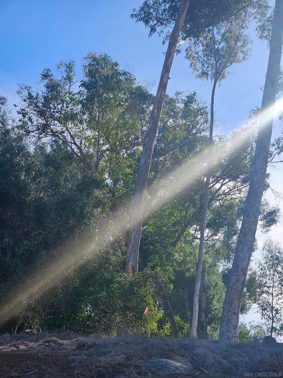 Image 39 of property listing at 0 Echo Dr, La Mesa, CA 91941