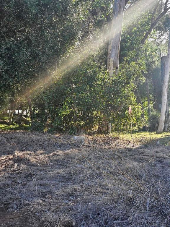 Image 40 of property listing at 0 Echo Dr, La Mesa, CA 91941