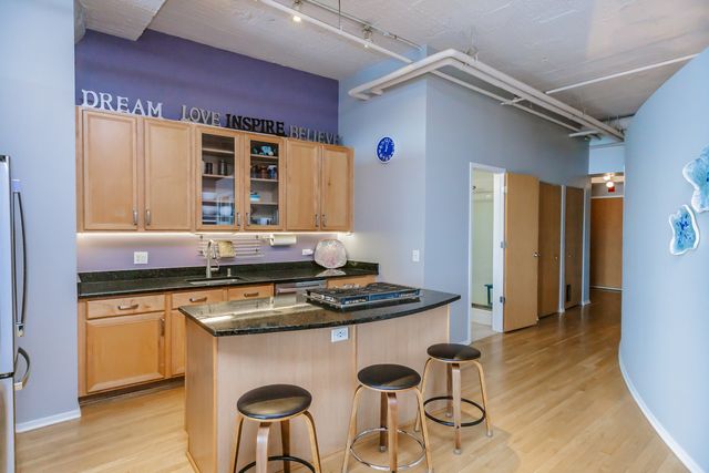 1530 S State Street 917, Chicago, IL 60605