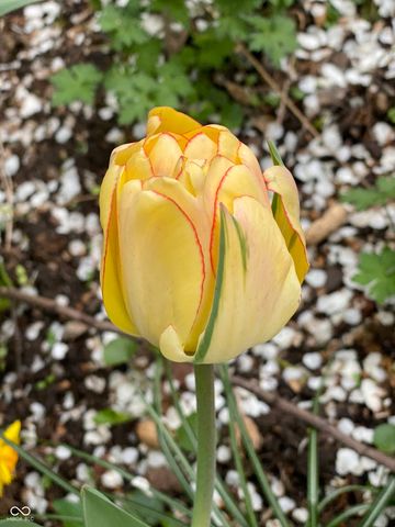 2307 N Alabama Street, Indianapolis, IN 46205