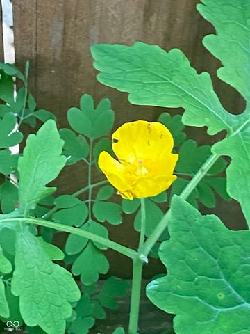 2307 N Alabama Street, Indianapolis, IN 46205