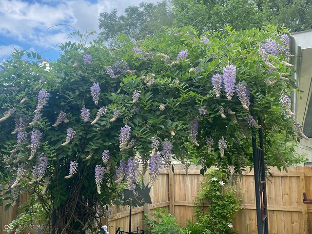 2307 N Alabama Street, Indianapolis, IN 46205