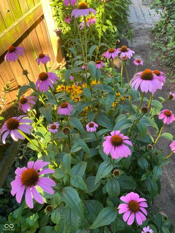 2307 N Alabama Street, Indianapolis, IN 46205