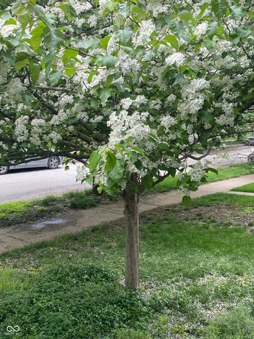 2307 N Alabama Street, Indianapolis, IN 46205