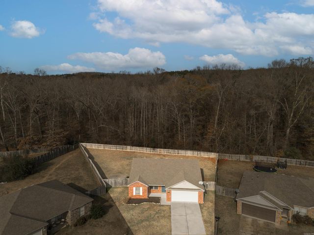 3655 Campfire Cove, Conway, AR 72032