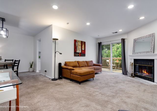16 W Fern Court 204, Palatine, IL 60067