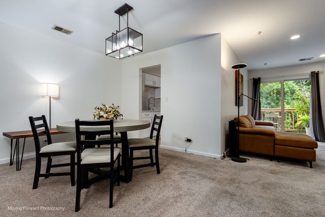 16 W Fern Court 204, Palatine, IL 60067