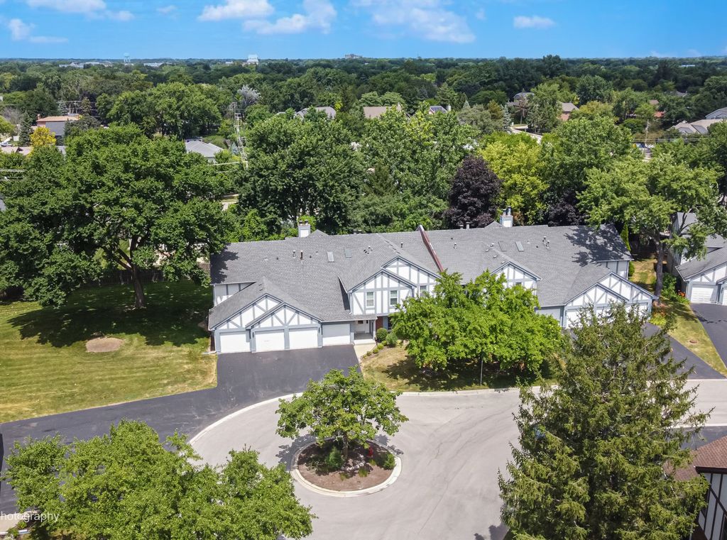 16 W Fern Court 204, Palatine, IL 60067
