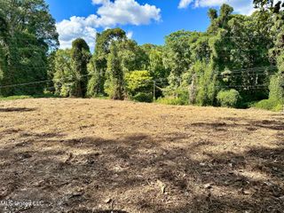 11050 Elm Drive, Hernando, MS 38632