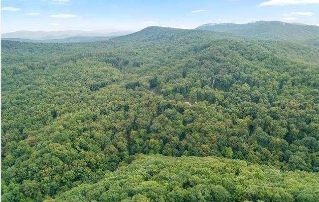232 Andes Ridge, Ellijay, GA 30540