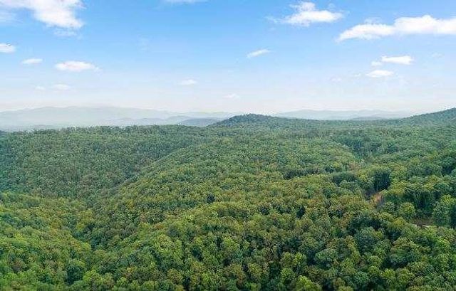 232 Andes Ridge, Ellijay, GA 30540