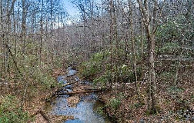 232 Andes Ridge, Ellijay, GA 30540