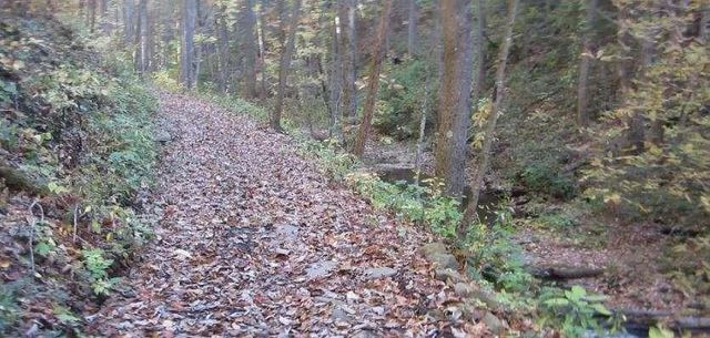 232 Andes Ridge, Ellijay, GA 30540