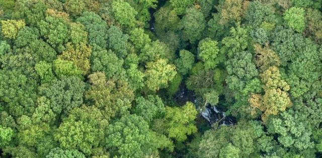 232 Andes Ridge, Ellijay, GA 30540