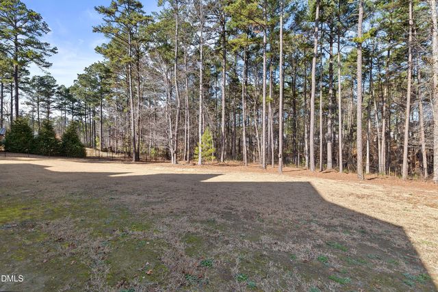 60 Stella Court, Clayton, NC 27527