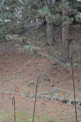 2430 NW Granite Ct., Pullman, WA 99163