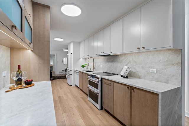 39 E Schiller Street 1E, Chicago, IL 60610