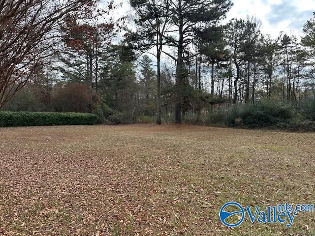 255 Bailey Chapel Road, Rainsville, AL 35986