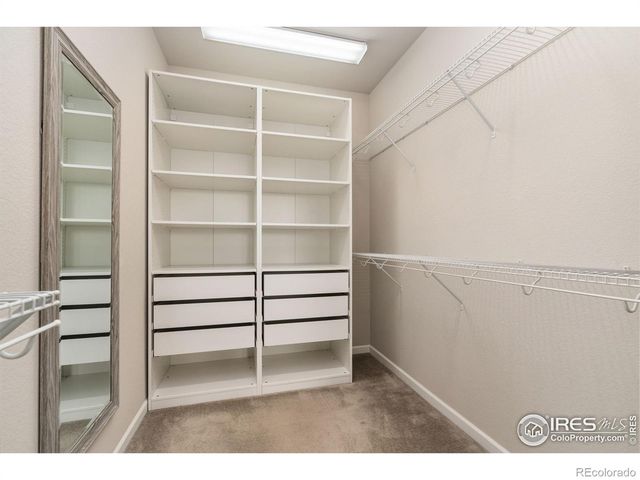 4272 Lyric Falls Drive, Loveland, CO 80538