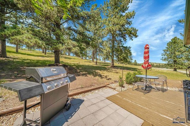 11775 PROSPECT RD, Hill City, SD 57745