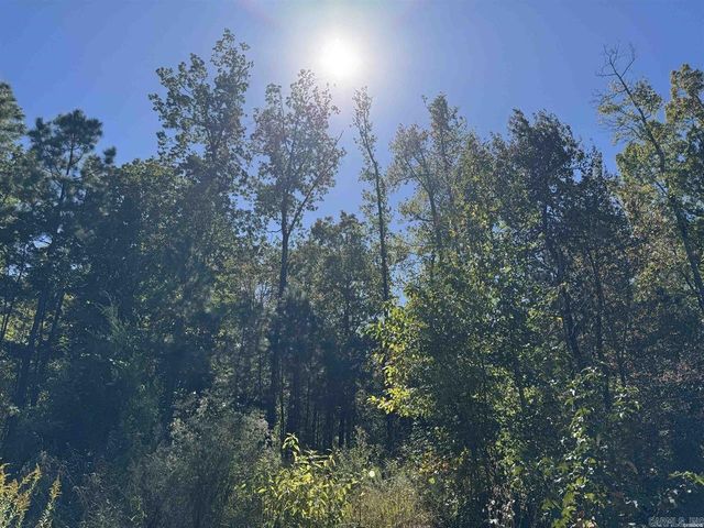 1541 Kennedy Road, Glenwood, AR 71943