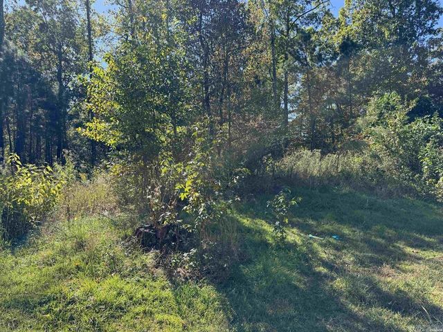 1541 Kennedy Road, Glenwood, AR 71943