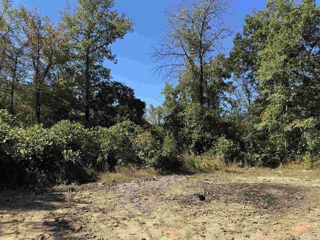 1541 Kennedy Road, Glenwood, AR 71943