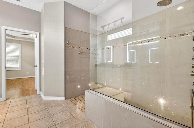 10801 SPRING MOUNTAIN PLACE, Tampa, FL 33626