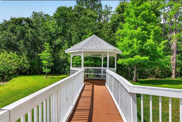 10801 SPRING MOUNTAIN PLACE, Tampa, FL 33626
