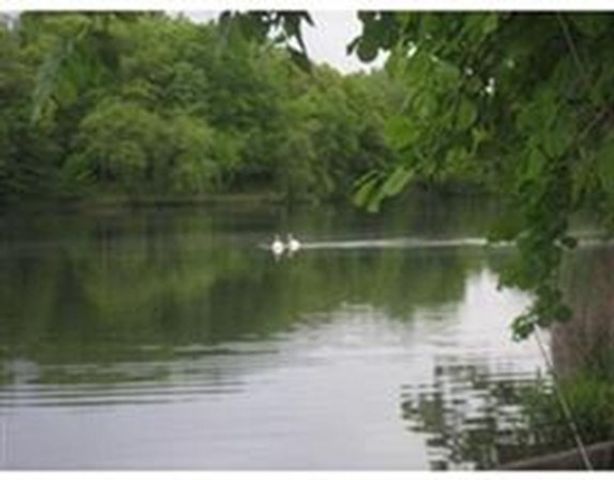 44 Washington Street 514, Brookline, MA 02445