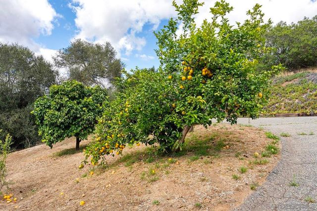 2557 Live Oak Park Rd, Fallbrook, CA 92028