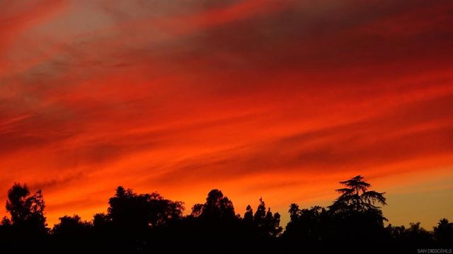 2557 Live Oak Park Rd, Fallbrook, CA 92028