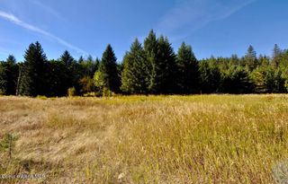 15594 W Hwy 53, Rathdrum, ID 83858