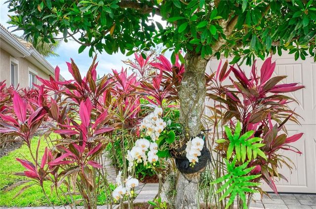 14809 Canton CT, Naples, FL 34114