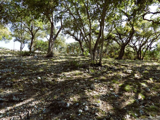 196 Whispering Oak Lane, Lakehills, TX 78063