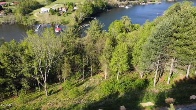 Lot 20 Cowan Town Road, Butler, TN 37640