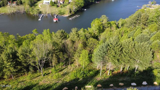 Lot 20 Cowan Town Road, Butler, TN 37640