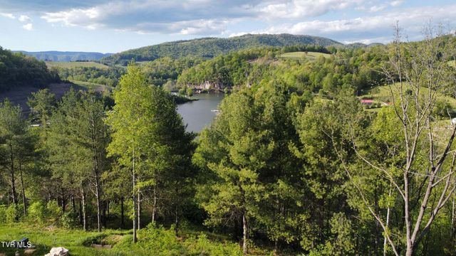 Lot 20 Cowan Town Road, Butler, TN 37640