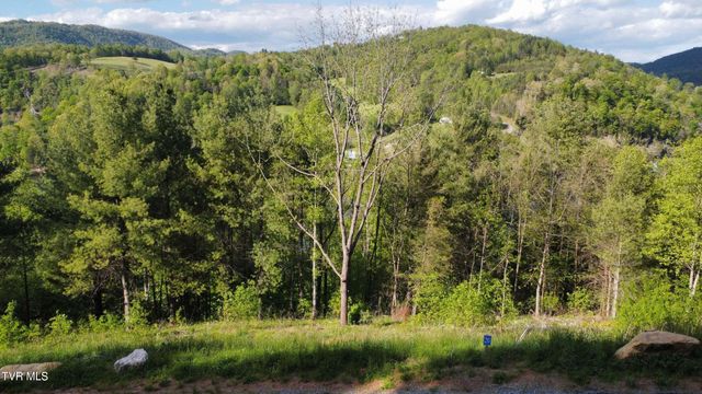 Lot 20 Cowan Town Road, Butler, TN 37640