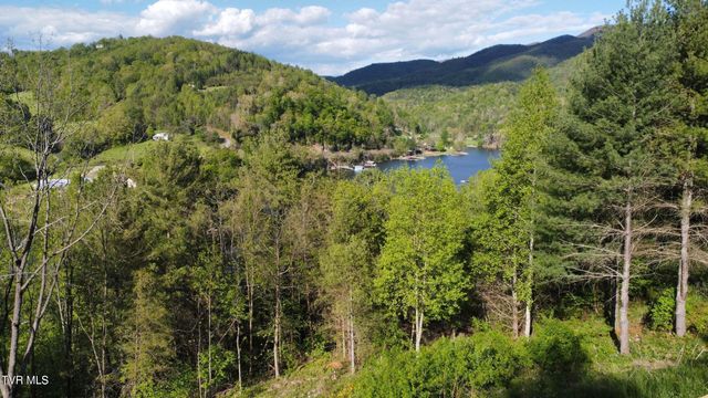 Lot 20 Cowan Town Road, Butler, TN 37640