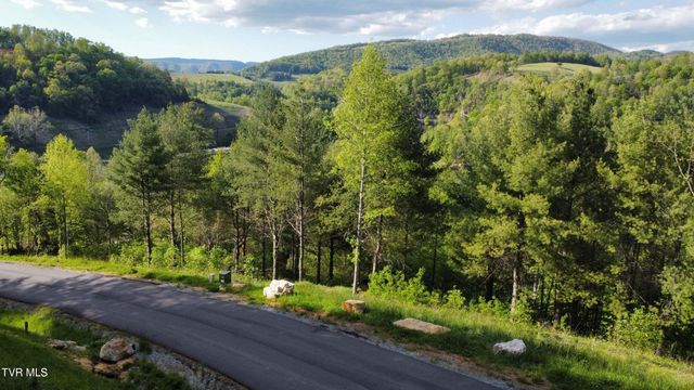 Lot 20 Cowan Town Road, Butler, TN 37640