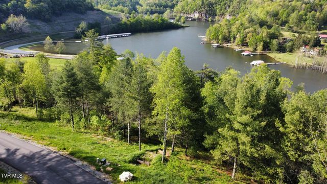 Lot 20 Cowan Town Road, Butler, TN 37640