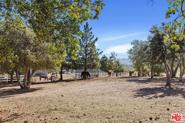 28765 Pine Canyon Road, Lake Hughes, CA 93532