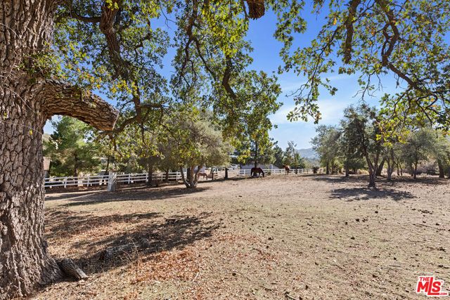 28765 Pine Canyon Road, Lake Hughes, CA 93532