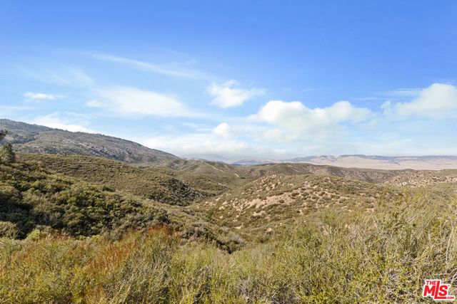 28765 Pine Canyon Road, Lake Hughes, CA 93532