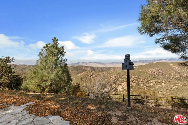 28765 Pine Canyon Road, Lake Hughes, CA 93532